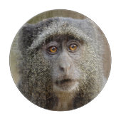 Sykes oder Blauer Affe, Cercopithecus mitis, Schneidebrett (Vorderseite)