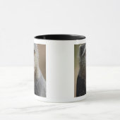 Sykes oder Blauer Affe, Cercopithecus mitis, Tasse (Zentrum)