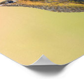 Sylph Hummingbird mit Long Schwanz Print Poster (Ecke)