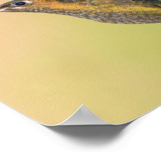 Sylph Hummingbird mit Long Schwanz Print Poster (Ecke)