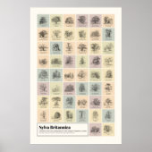 Sylva Britannica Poster (Vorne)