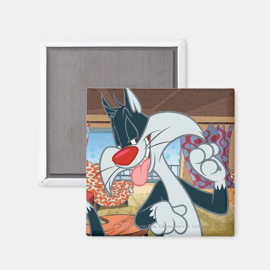 Sylvester-Aufsatz Magnet (Vorderseite/Rückseite)