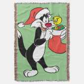 Sylvester Cat with Stocking Decke (Vorderseite Vertikal)