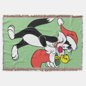 Sylvester Cat with Stocking Decke (Vorderseite)