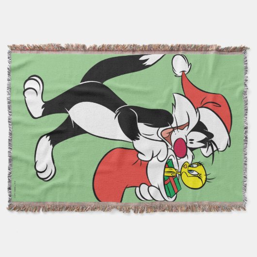 Sylvester Cat with Stocking Decke (Vorderseite)
