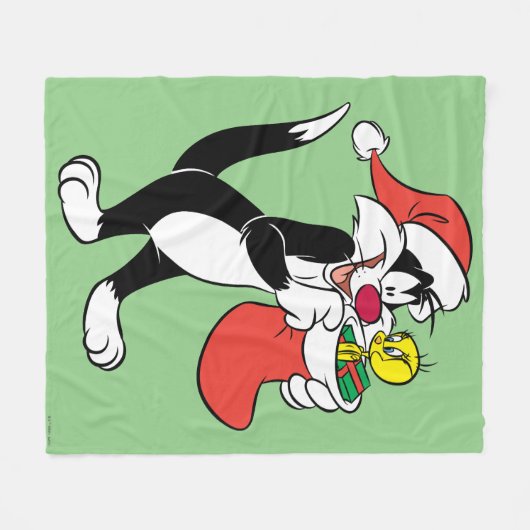 Sylvester Cat with Stocking Fleecedecke (Vorderseite (Horizontal))