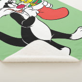 Sylvester Cat with Stocking Sherpadecke (3/4)