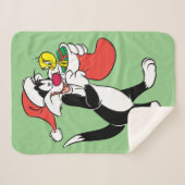 Sylvester Cat with Stocking Sherpadecke (Vorderseite (Horizontal))