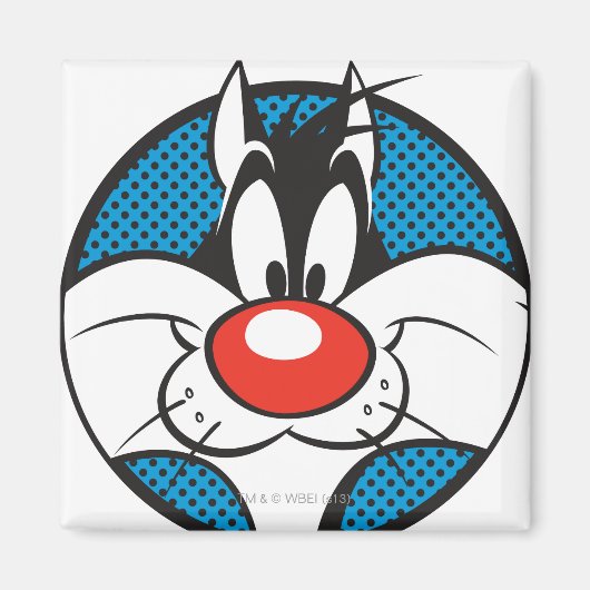 SYLVESTER™ Dotty-Symbol Magnet (Vorne)