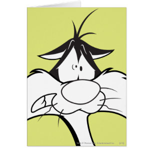 SYLVESTER™-Gesichter