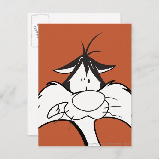 SYLVESTER™-Gesichter Postkarte (Vorne/Hinten)