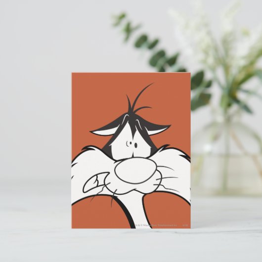 SYLVESTER™-Gesichter Postkarte (Stehend Vorderseite)