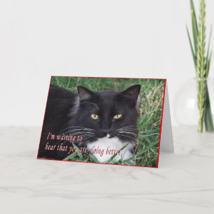Sylvester-Get Well anpassen Karte