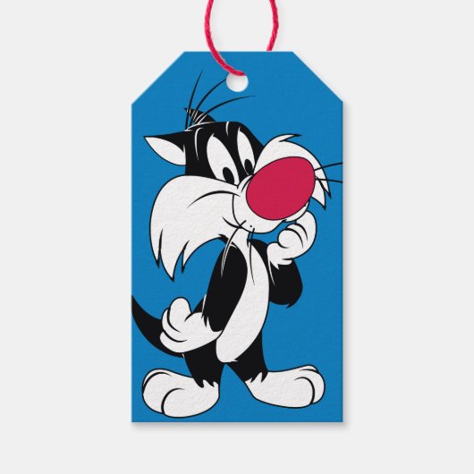 Sylvester Jr. | Klassische Pose Geschenkanhänger (Vorderseite)