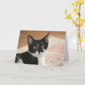Sylvester Karte (Gelbe Blume)