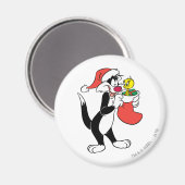 SYLVESTER™ Katze mit Strumpf Magnet (Vorderseite/Rückseite)