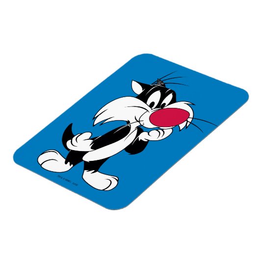 Sylvester| Klassische Pose Magnet (Linke Seite)