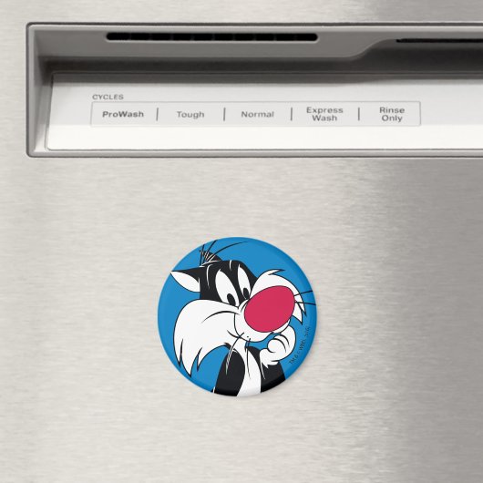 Sylvester| Klassische Pose Magnet (In Situ (Geschirrspüler))