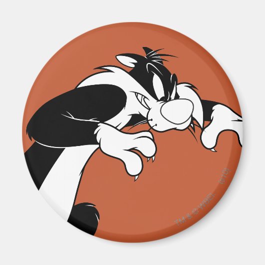 SYLVESTER™ Prowling Magnet (Vorne)