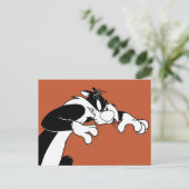 SYLVESTER™ Prowling Postkarte (Stehend Vorderseite)