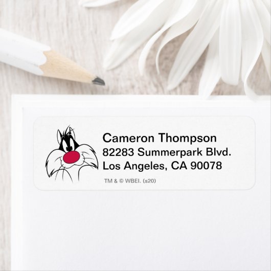 SYLVESTER™ Red Nose Face (Insitu)