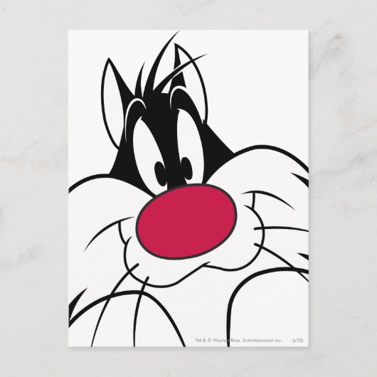 SYLVESTER™ Red Nose Face Postkarte (Vorderseite)
