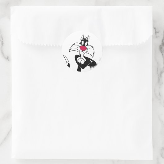 SYLVESTER™ Red Nose Runder Aufkleber (Tasche)