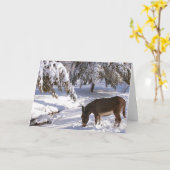 Sylvia Karte (Gelbe Blume)