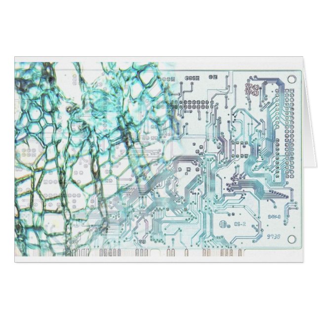 Symbiose - Konzept (Vorderseite (Horizontal))