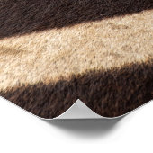 Symbiose: Oxpecker & Zebra Poster (Ecke)