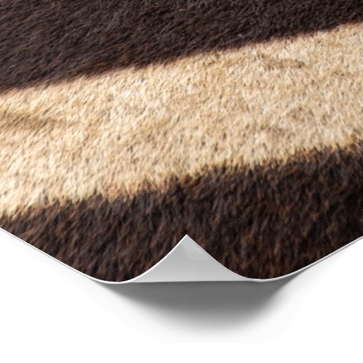 Symbiose: Oxpecker & Zebra Poster (Ecke)