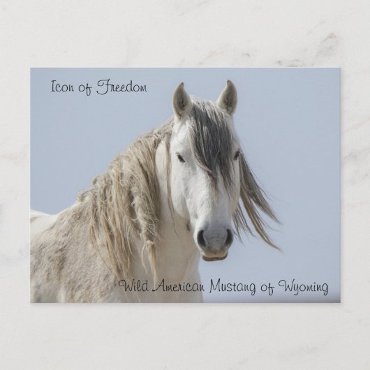 Symbol der Freiheit - Postkarte (Vorderseite)