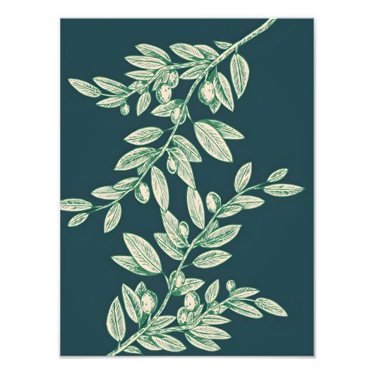Symbol des Friedens: Olive Branch mit Oliven Fotodruck (Vorne)