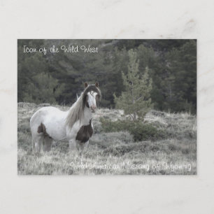 Symbol des Wilden Westens - Postkarte