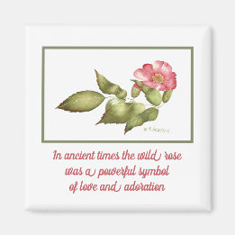 Symbol für die Blume der Rose in Rosa Magnet