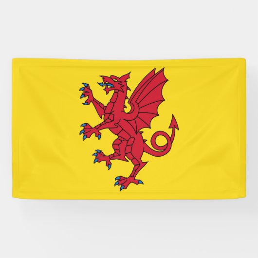 Symbol für Somerset Flag England Banner (Horizontal)