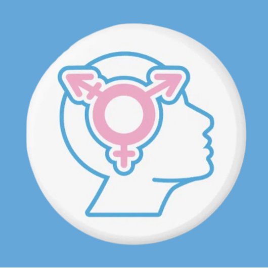 Symbol Magnet für den Trans Pride