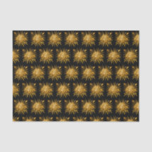 Symbol von Louis XIV der Sonnenkönig