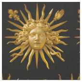 Symbol von Louis XIV der Sonnenkönig Stoff (Nahaufnahme)