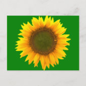 Symbolismus der Lichtpostkarte Postkarte (Vorderseite)