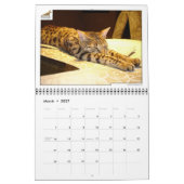 Syminou Kalender 2018 Savannah Cat (Mär 2027)