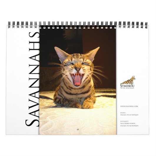 Syminou Kalender 2018 Savannah Cat (Titelbild)