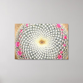 Symmetrische Kaktus in Blüte (Mammillaria celsiana Leinwanddruck