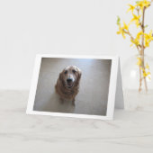 Sympathie-Karte für Haustiere Karte (Gelbe Blume)