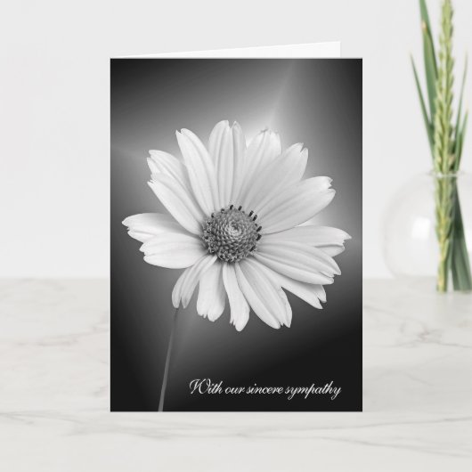 Sympathie Weiße Daisy mit Lichtstrahlen Karte (Vorderseite)