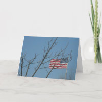 Sympathiekarte "Amerikanische Flagge mit Zweigen"