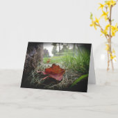 Sympathiekarte "erstes Anzeichen eines Untergangs" Karte (Gelbe Blume)