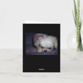 Sympathiekarte für Hunde Karte (Rückseite)