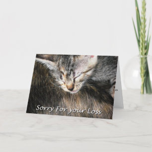 Sympathiekarte für Katzen, Verlust der Katze Karte