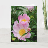 Sympathiekarte Karte (Vorderseite)